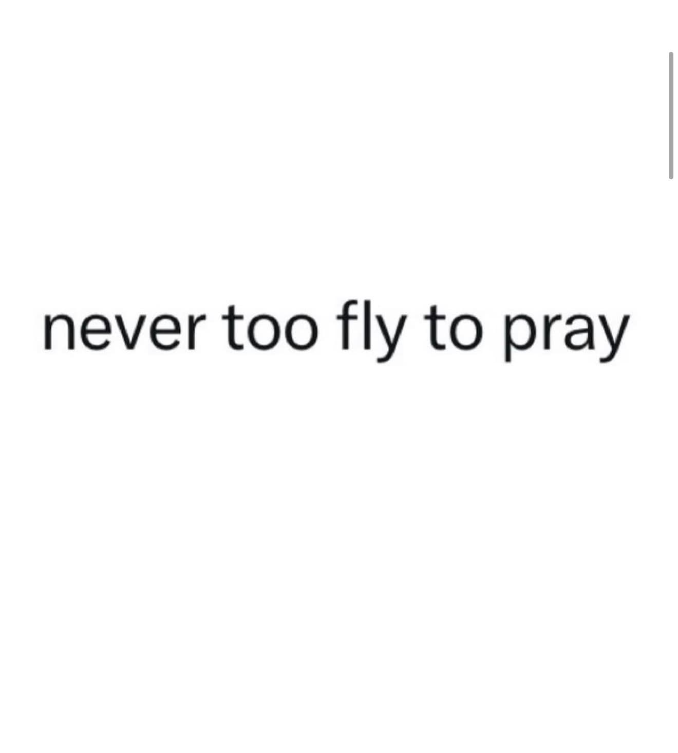 BFlyy LA 4